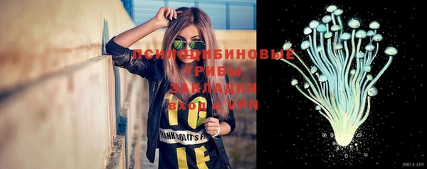 стаф Навашино