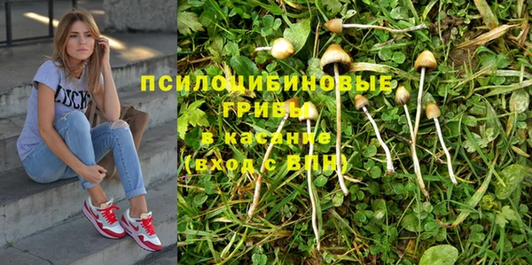 винт Надым