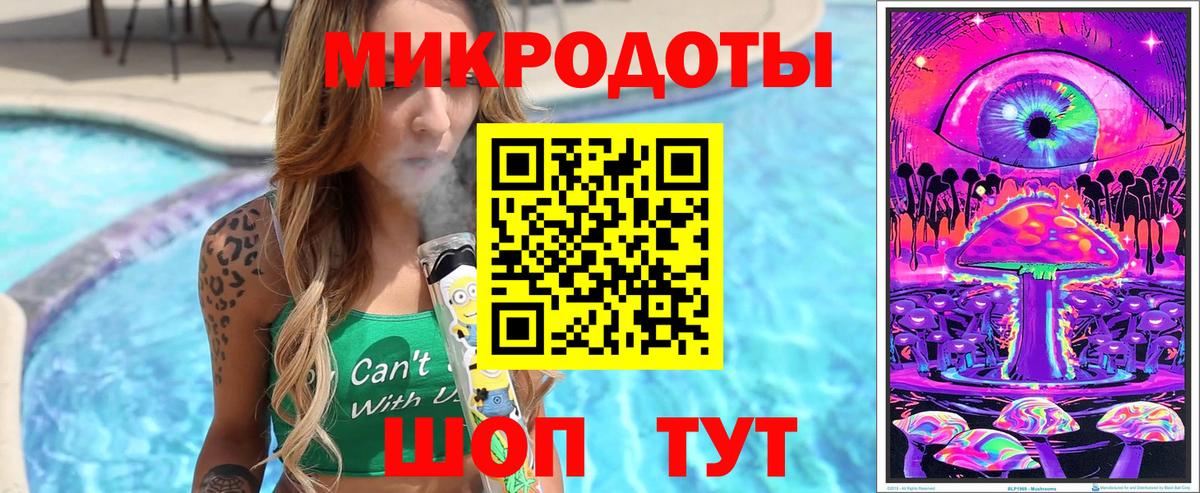 Ярославль  Галлюциногенные грибы Psilocybe  Вход с VPN 