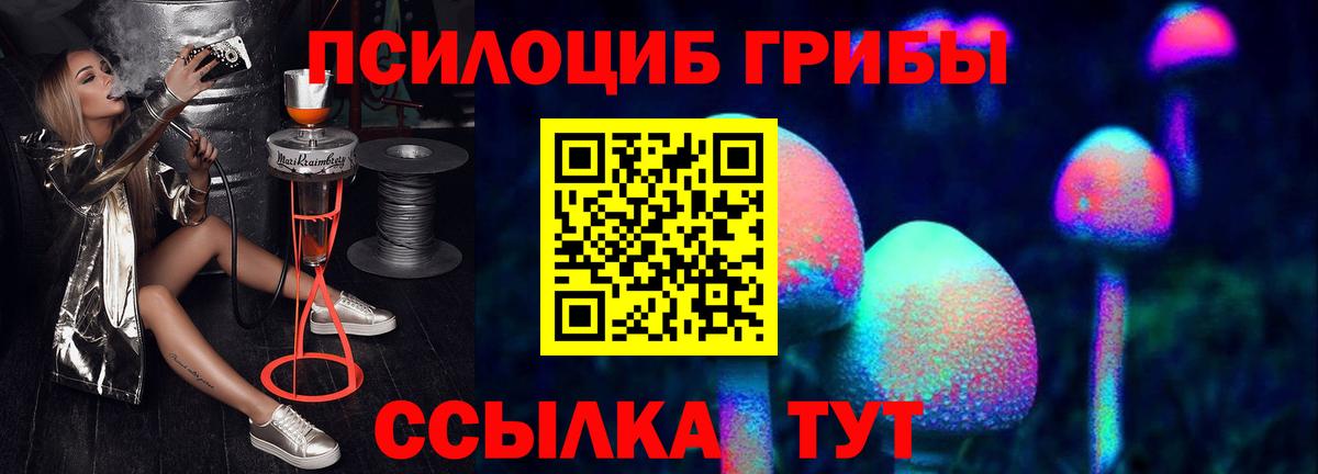 Псилоцибиновые грибы мухоморы Ярославль