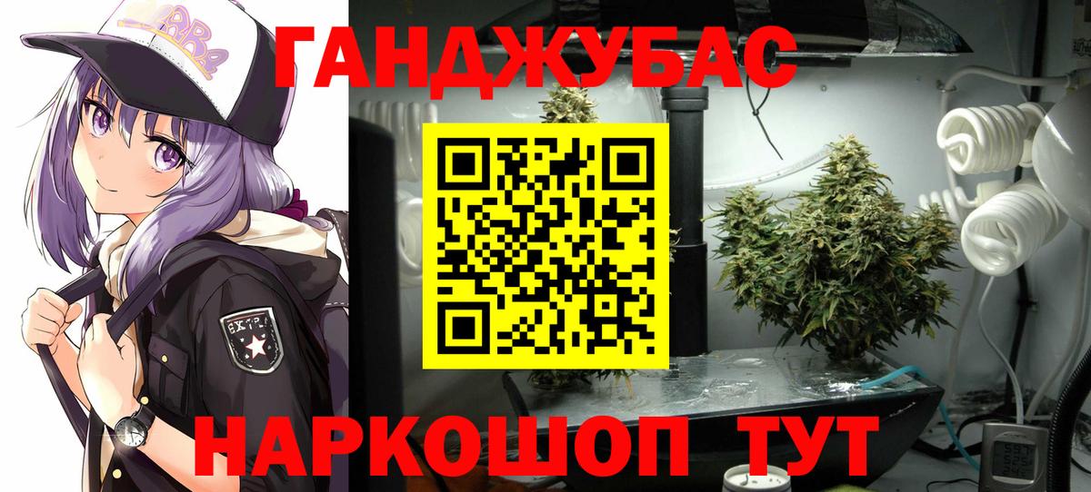Канабис семена  Шишки марихуана сатива  Вход с VPN  Ярославль  Каннабис MAZAR  Каннабис планчик 